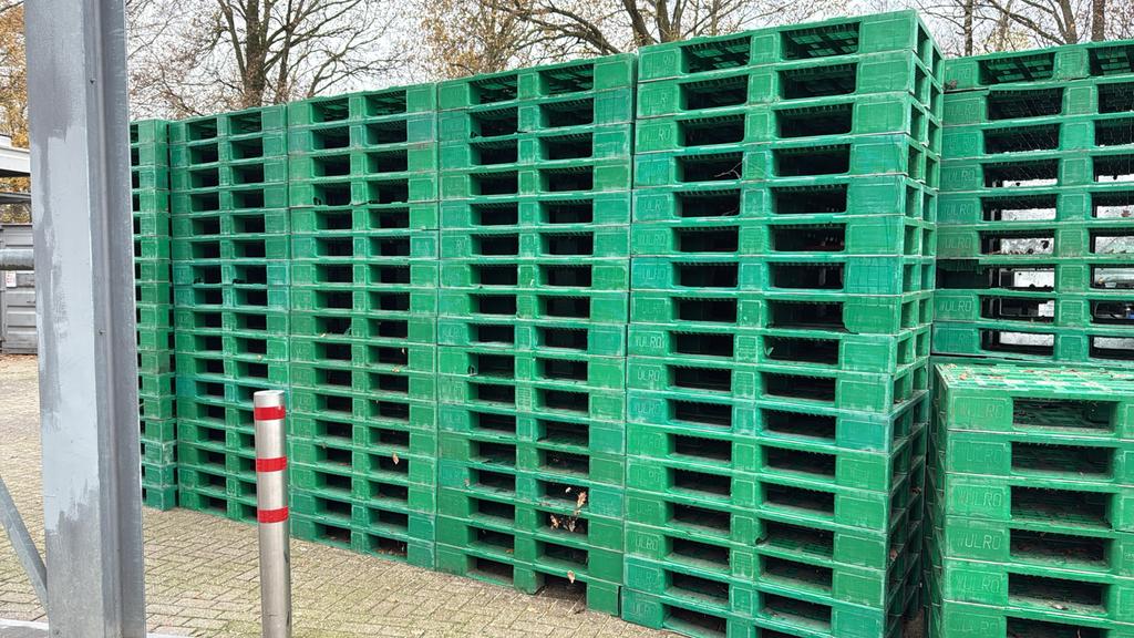 Plastic pallets 90 bij 120cm (houtpallets), Ophalen, 100 cm of meer, 60 cm of meer, Overige typen
