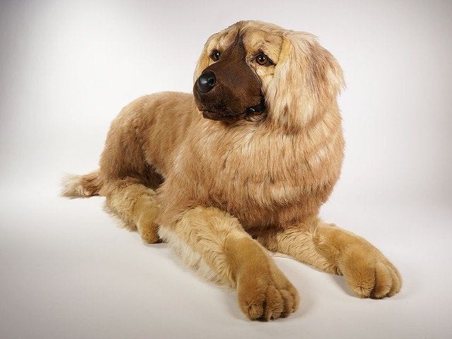Nieuwe piutrè Leonberger knuffelhond - 100 cm, Nieuw, Bruin, Groot (groter dan 80 cm), Hond
