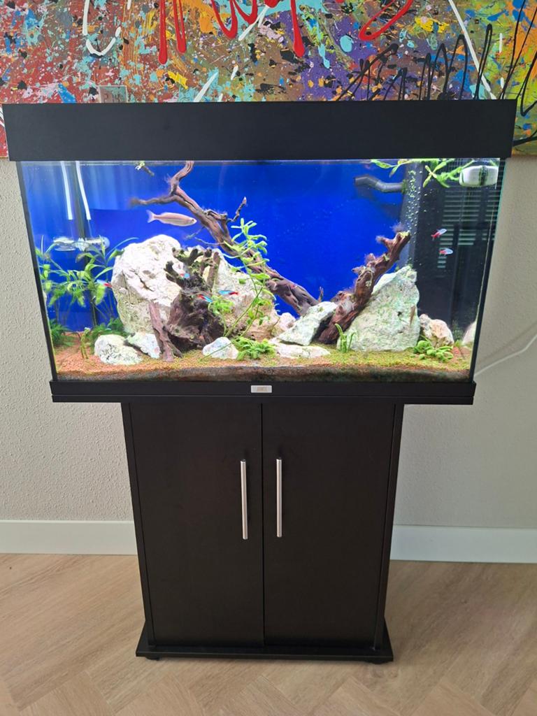 Luwel rio 140, Ophalen of Verzenden, Zo goed als nieuw, Gevuld zoetwateraquarium