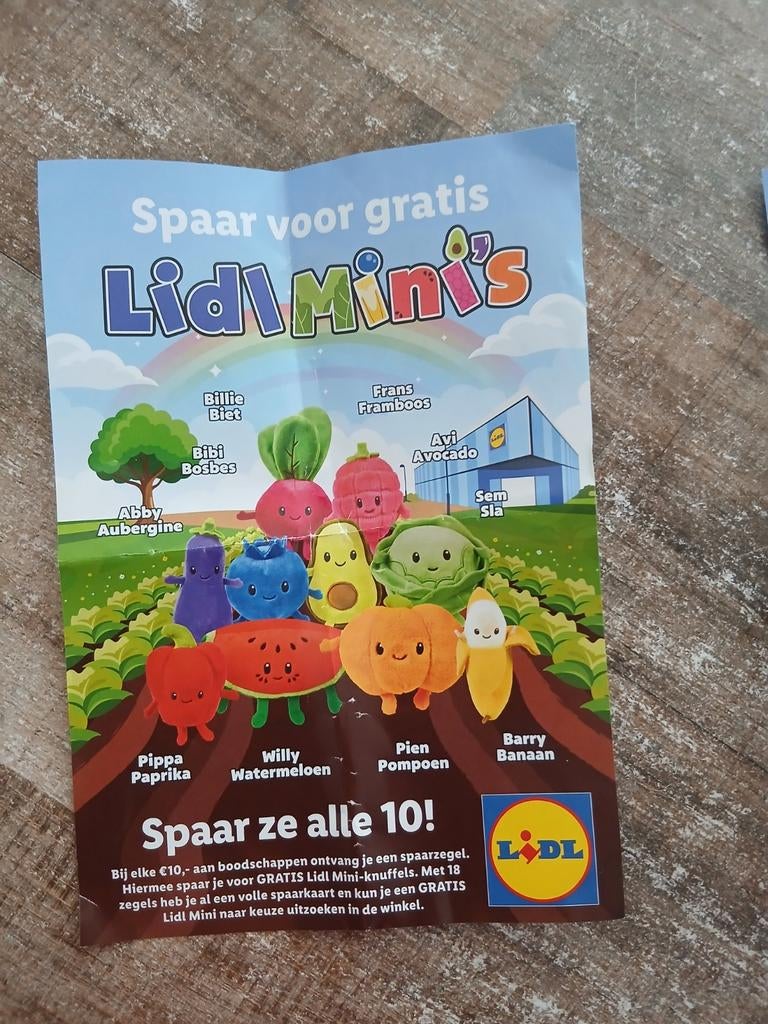 Lidl Mini's volle spaarkaarten, Lidl, Ophalen