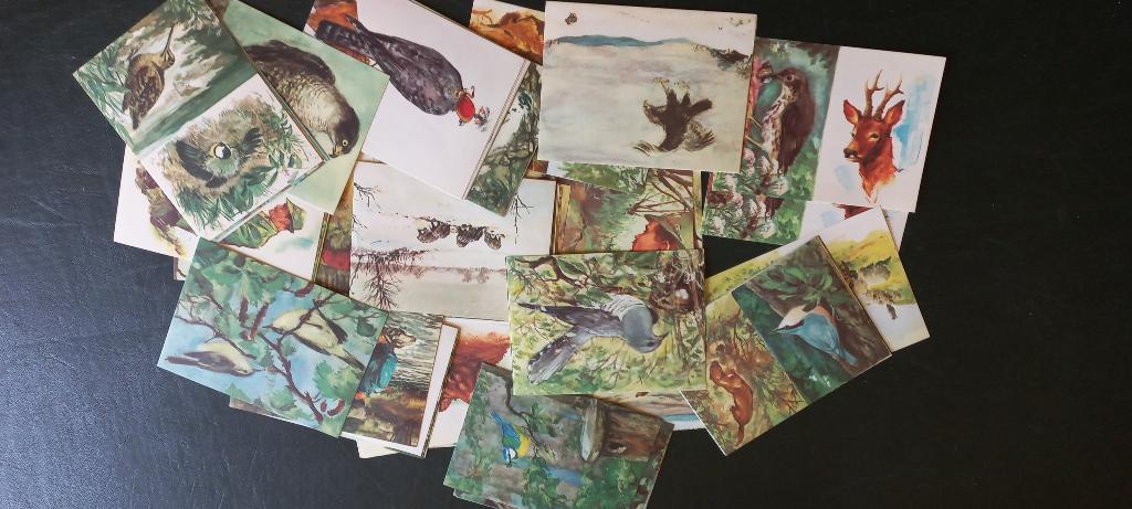 Collectie losse Rama dierenplaatjes, Verzenden, Nieuw, Plaatje