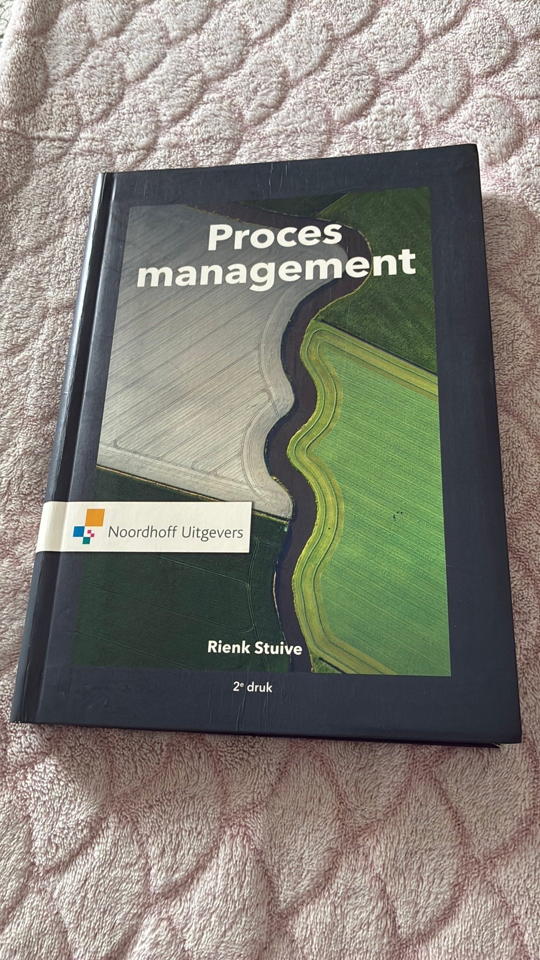 Rienk Stuive - Procesmanagement, Sociale wetenschap, Rienk Stuive, Ophalen of Verzenden, Zo goed als nieuw
