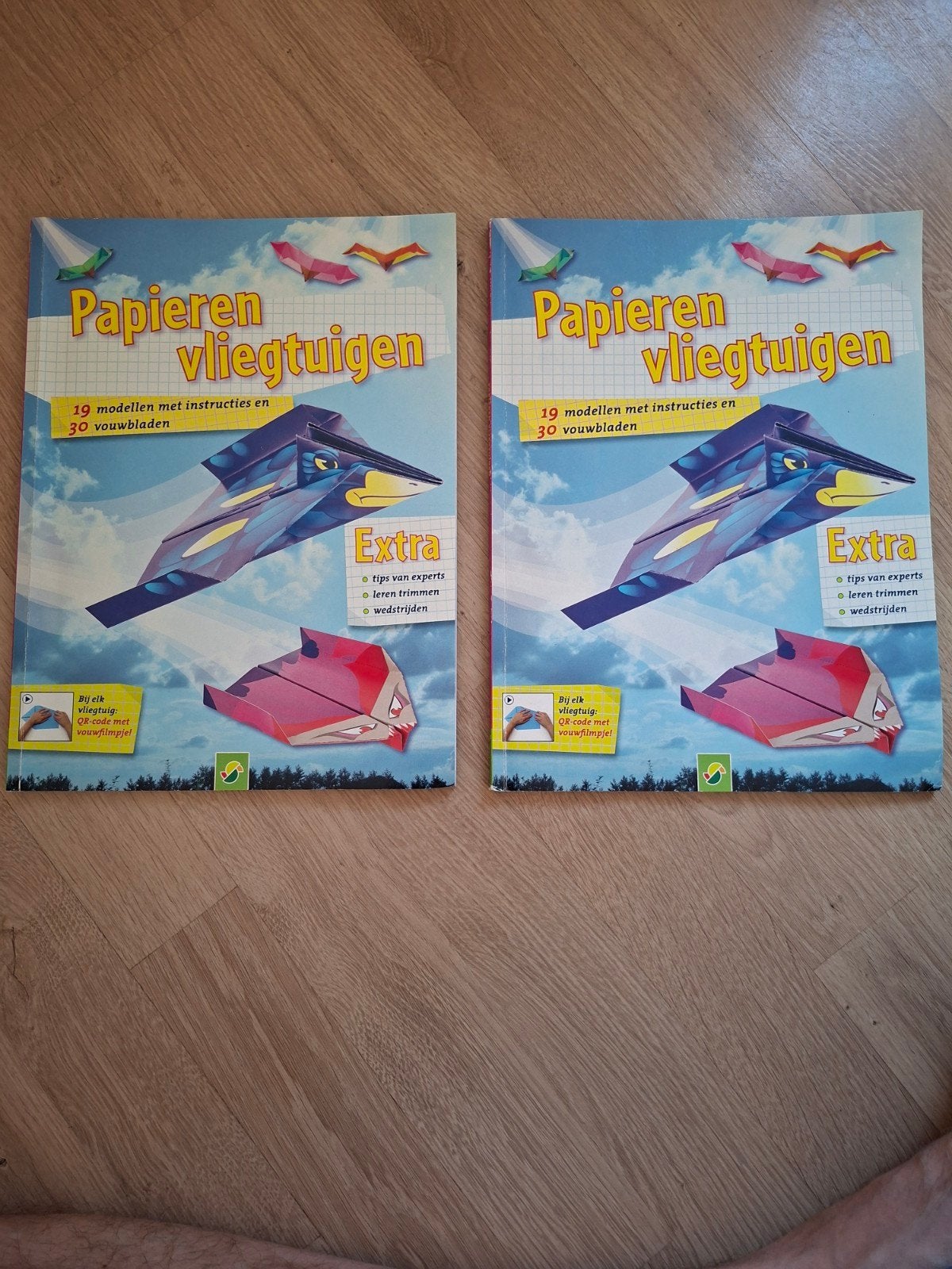 Papieren Vliegtuigen Boek - 19 Modellen & 30 Vouwbladen, Ophalen of Verzenden, Gelezen, Scrapbooking en Knutselen, Geschikt voor kinderen