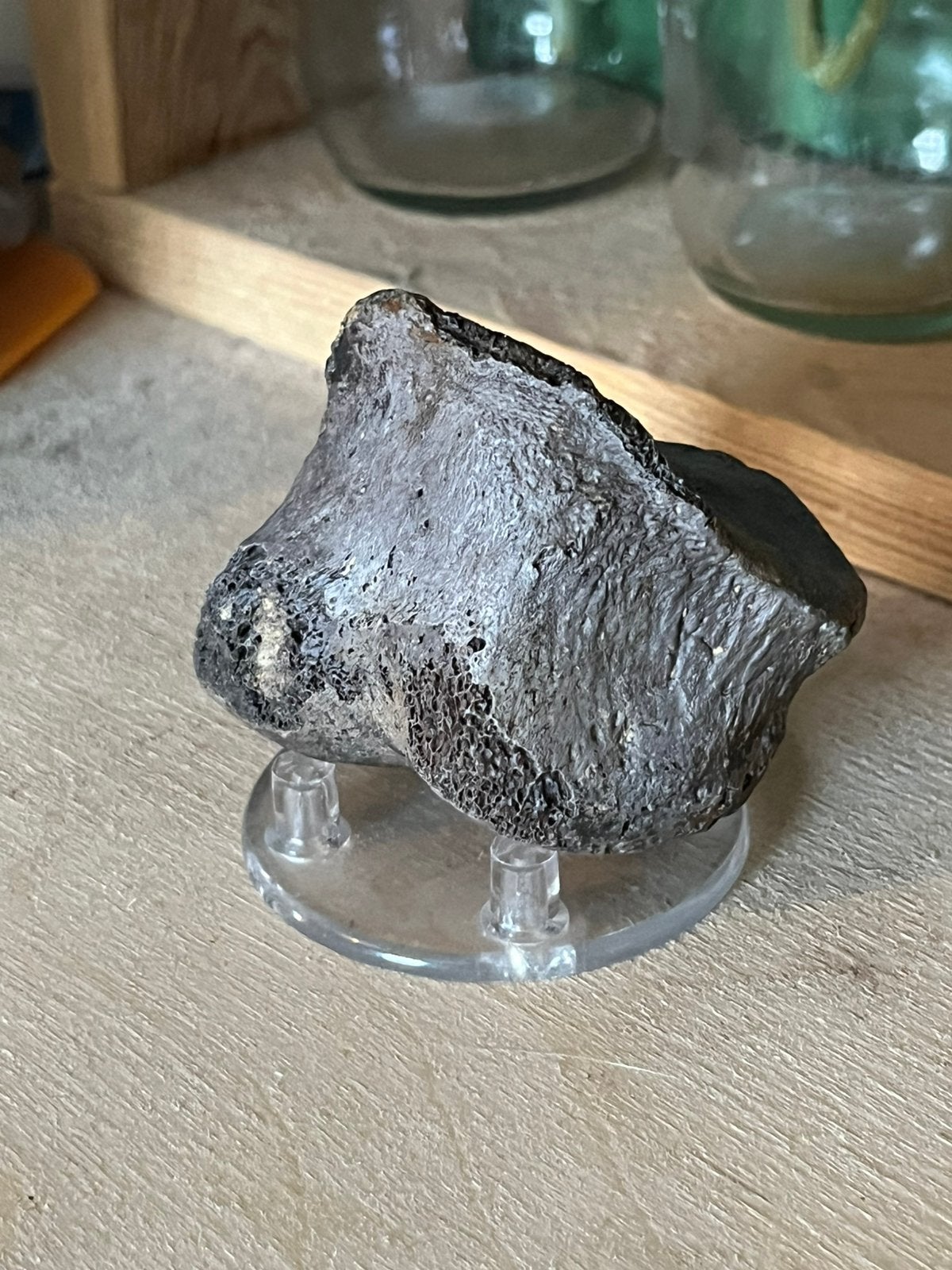 Uniek bot van een abelisauridae, Verzamelen, Mineralen en Fossielen, Fossiel, Ophalen of Verzenden
