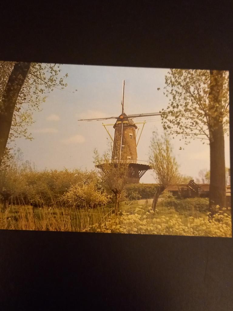 Kaart  Raamsdonksveer Korenmolen ongelopen, Verzamelen, Ansichtkaarten | Nederland, Verzenden, Ongelopen