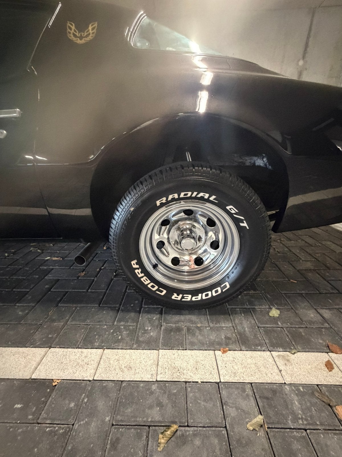 Pontiac Firebird 1976 5.7, foto 5