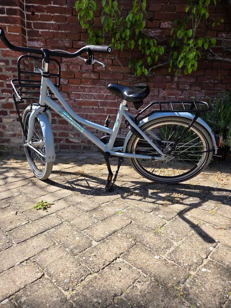 Superleuke Alpina Cargo 20 inch, Fietsen en Brommers, Fietsen | Meisjes, Ophalen, Gebruikt, 20 inch