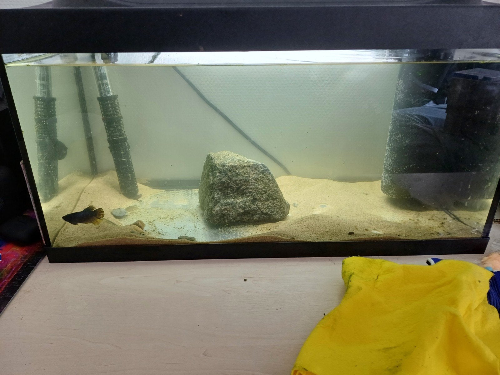 Tetra aquarium, Ophalen, Zo goed als nieuw, Leeg aquarium