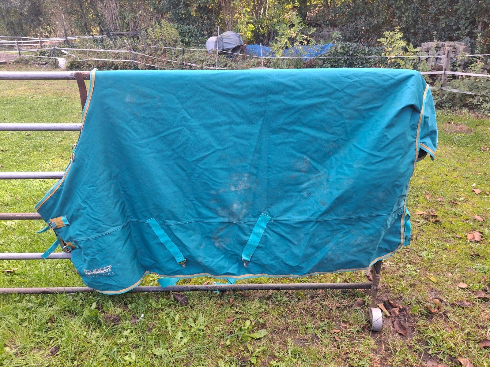 Shires Tempest outdoordeken maat 190 te koop, Full (L), Ophalen of Verzenden, 300 g, Regendeken