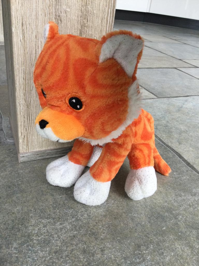 Knuffel kat, oranje met wit, Ophalen of Verzenden, Zo goed als nieuw, Oranje, Kat