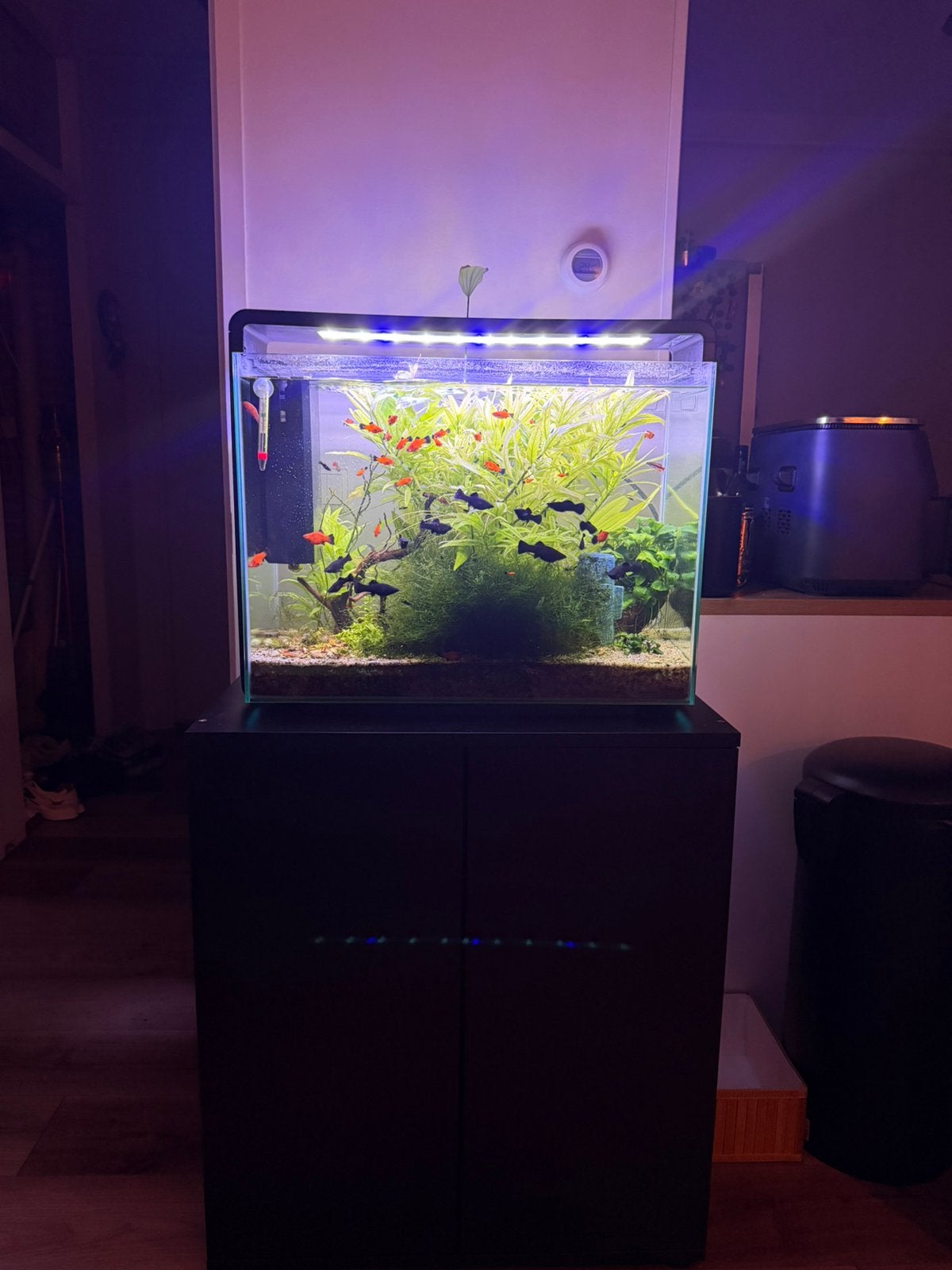 Aquarium superfish home85-URGENT-, Dieren en Toebehoren, Ophalen, Zo goed als nieuw, Leeg aquarium