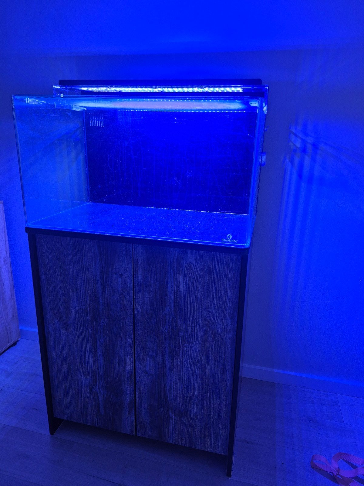 Blue Marine Reef 160 zeeaquarium, Ophalen