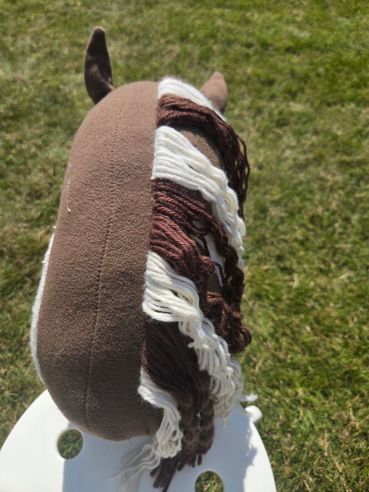 Prachtige Tinker Hobby Horse met Vlekken en Blauwe Ogen, Ophalen, Jongen of Meisje