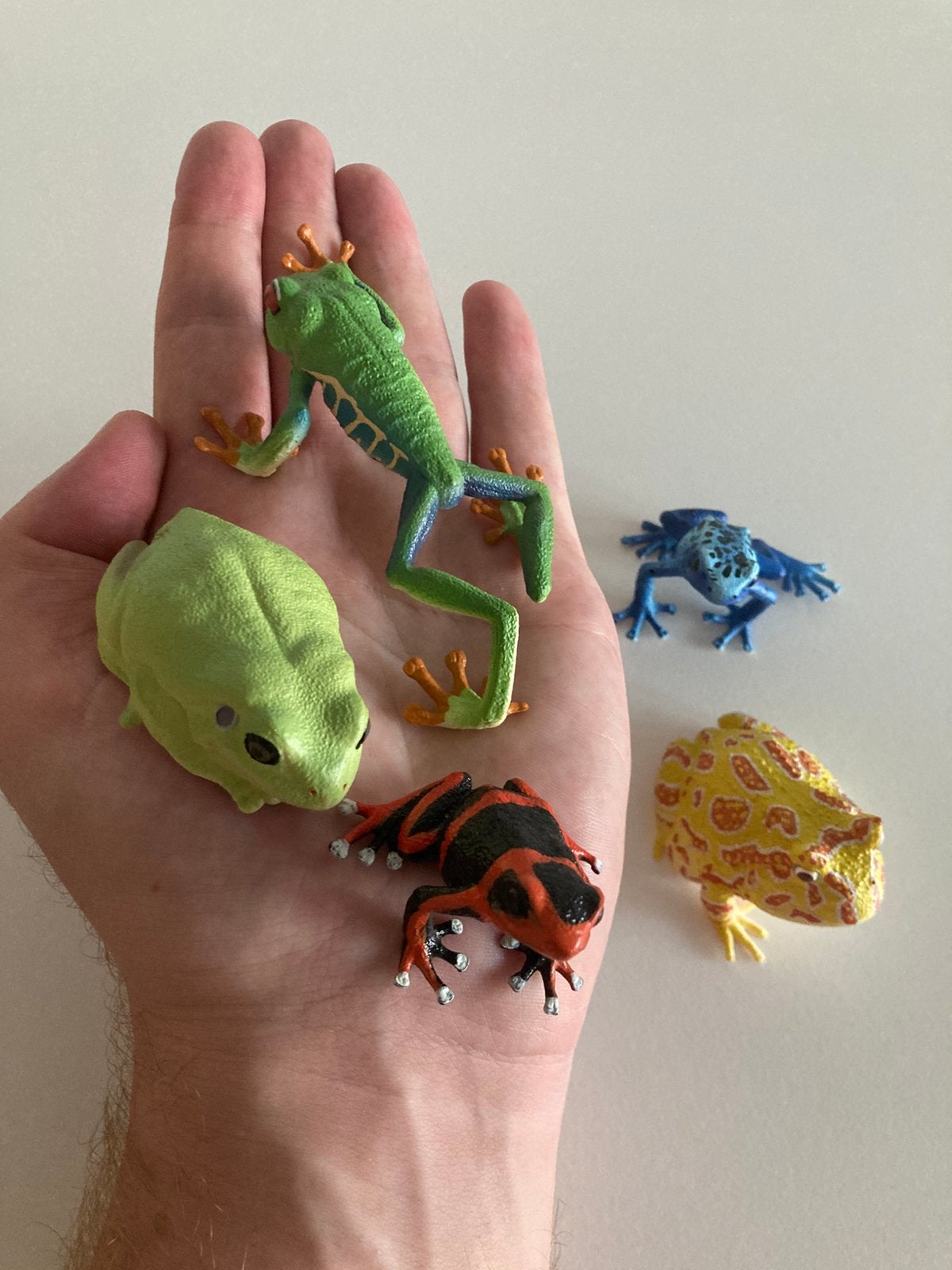 Kikkers frogs, Ophalen of Verzenden, Zo goed als nieuw