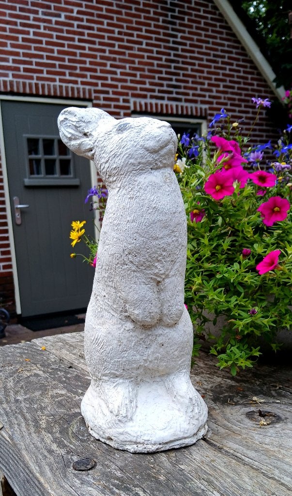 Beeld van een haas - konijn - beton - betonnen - tuinbeeld, Ophalen of Verzenden, Gebruikt, Dierenbeeld