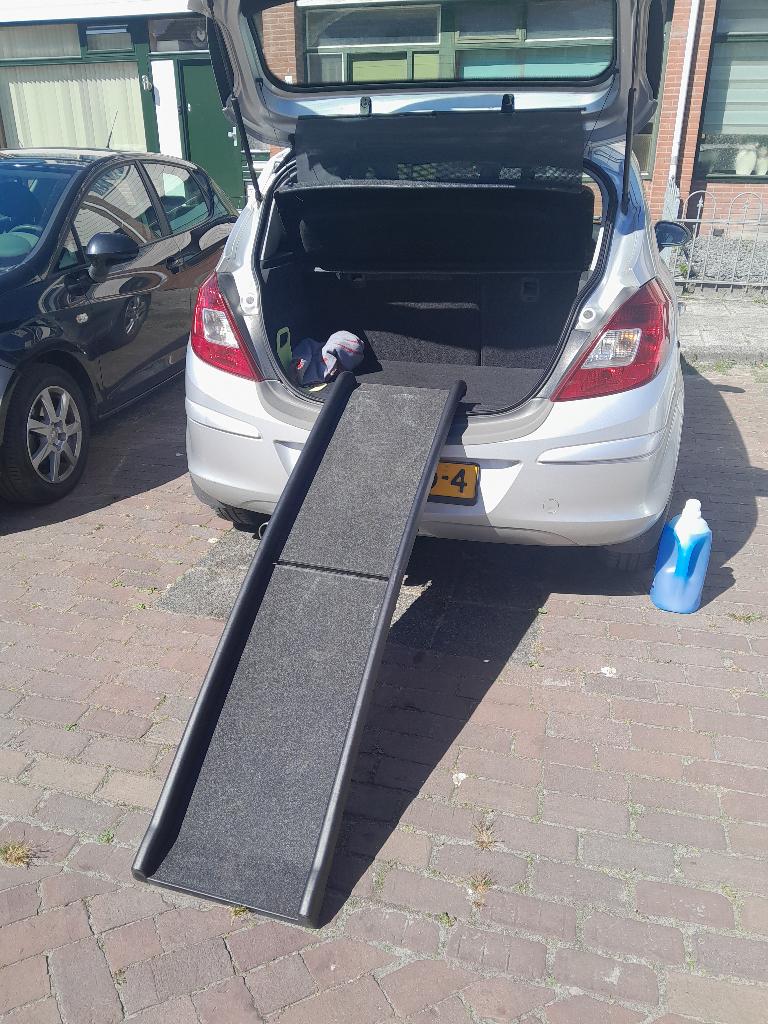 Hondenloopplank, Dieren en Toebehoren, Honden-accessoires, Ophalen, Zo goed als nieuw
