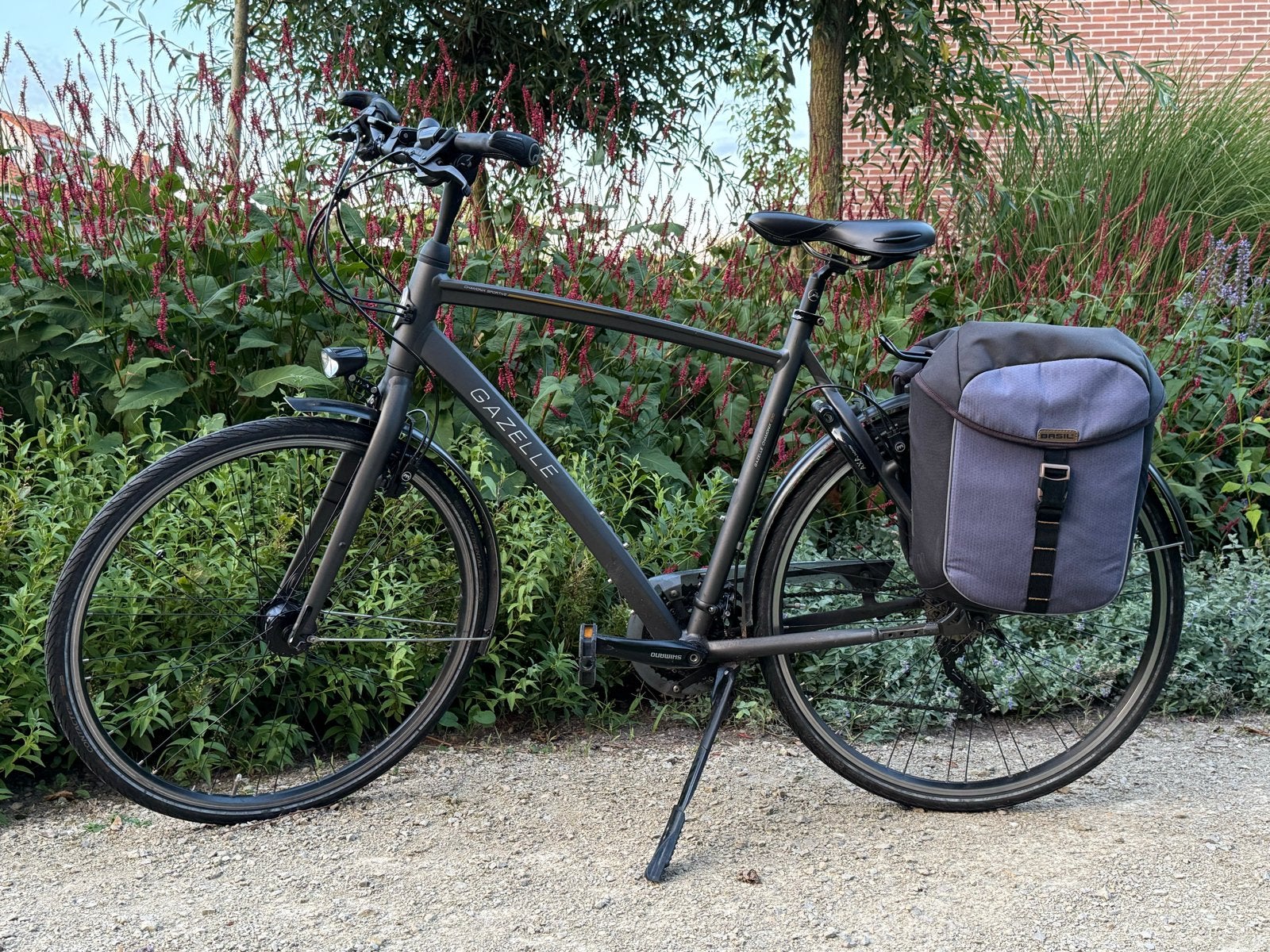 Gazelle Chamonix S30 - 30 versnellingen, derailleur, Ophalen, Gebruikt, Velgrem, 56 cm of meer