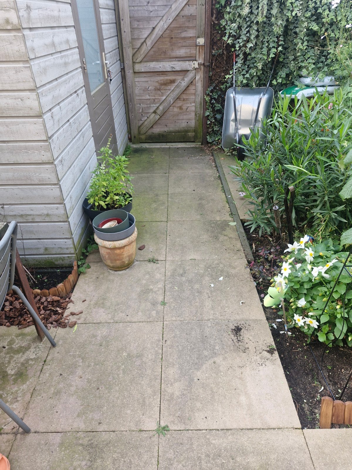 Gratis af te halen: Betontegels 60x60cm (60 stuks), Ophalen, Gebruikt, 10 m² of meer, Beton