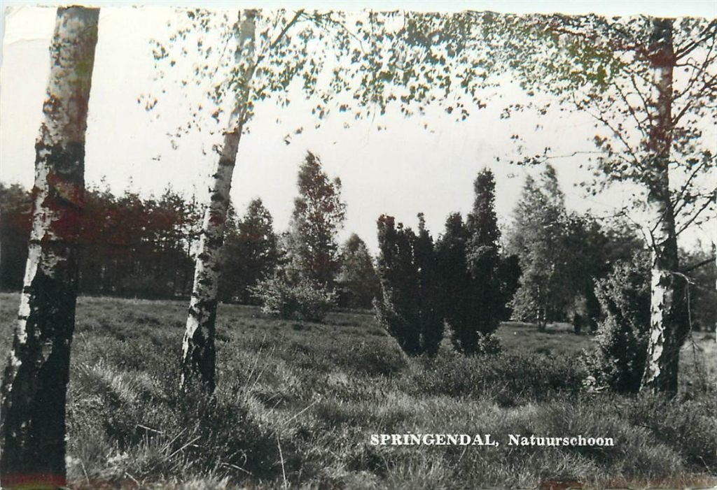 702-092-017 Vasse T Springendal, Verzenden, Voor 1920, Overijssel