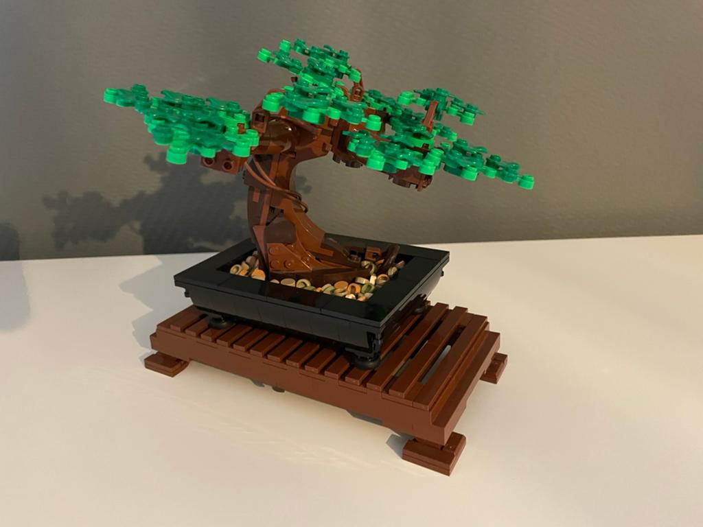 Lego 10281 Botanicals Bonsaiboompje COMPLEET, Lego, Ophalen of Verzenden, Zo goed als nieuw, Icons