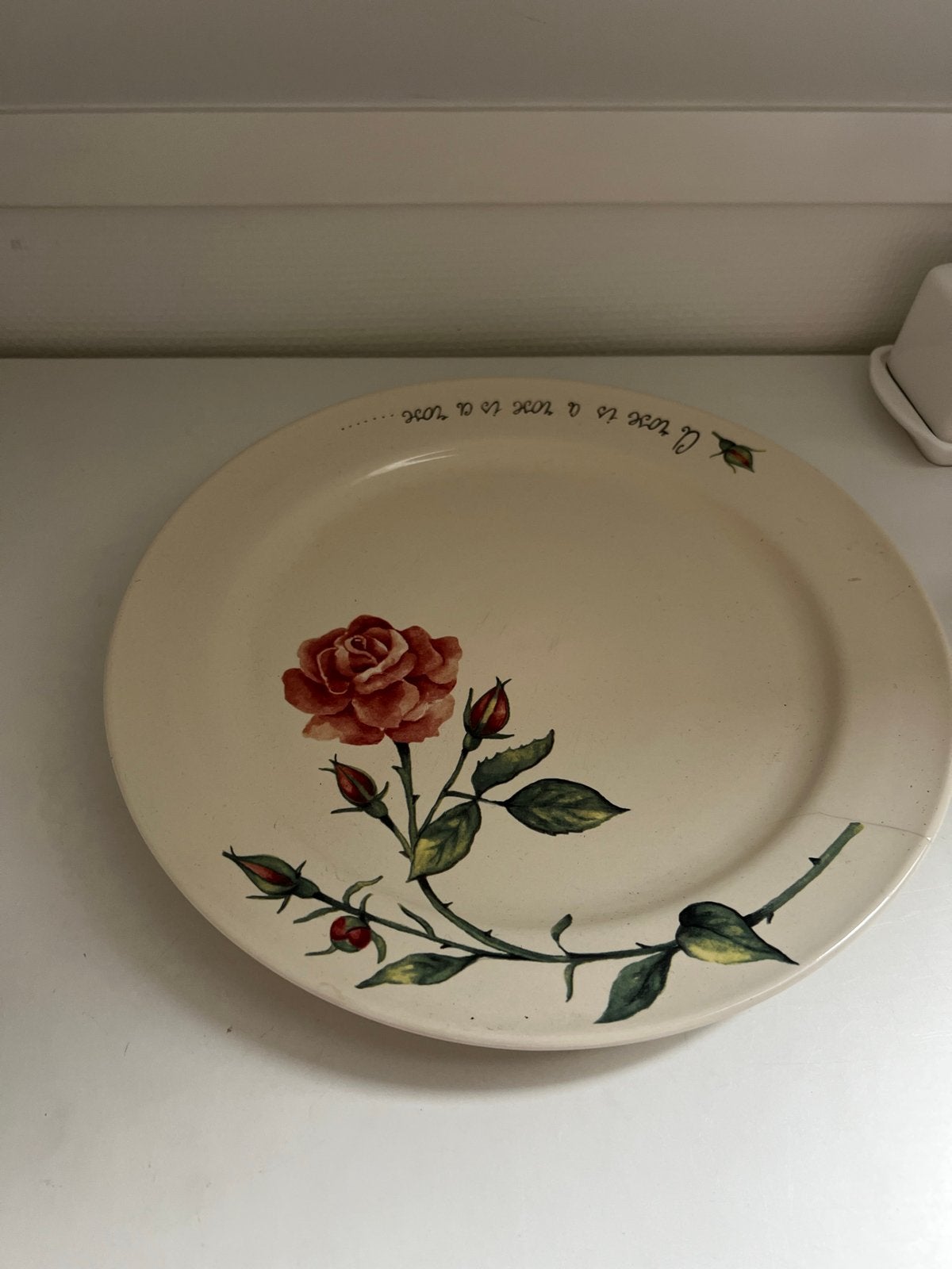 Jet ter Steege Taartbord Rose is a Rose (met scheur), Gebruikt, Vintage, Ophalen of Verzenden, Bord(en)
