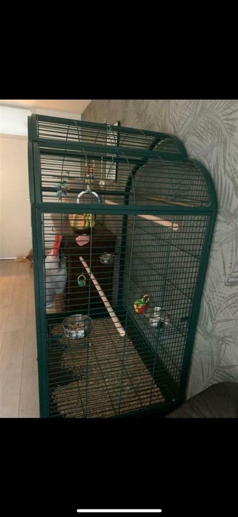 Prachtige nieuwe grote papegaaienkooi [2740], Dieren en Toebehoren, Vogels | Hokken en Kooien, Nieuw, Ophalen of Verzenden, Vogelkooi