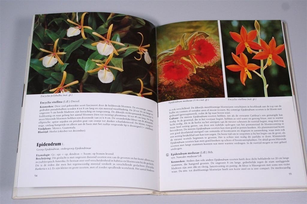 Orchideeën Kamer & Kas — 1979 — Geïllustreerd, Ophalen of Verzenden, Gelezen, Vogels