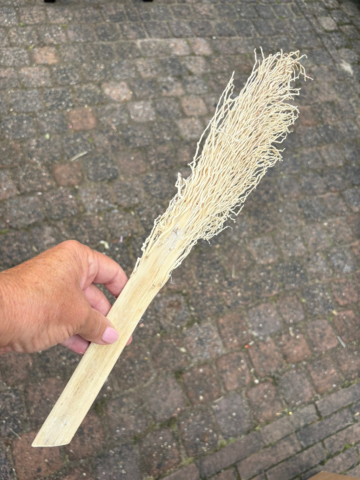 80 stuks  Bleach Palm Seed Branch, bleek palmtak, droogbloem, Ophalen of Verzenden, Nieuw