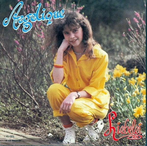 vinylsingles gezocht zie foto's, Ophalen of Verzenden, Zo goed als nieuw, Overige formaten, Levenslied of Smartlap