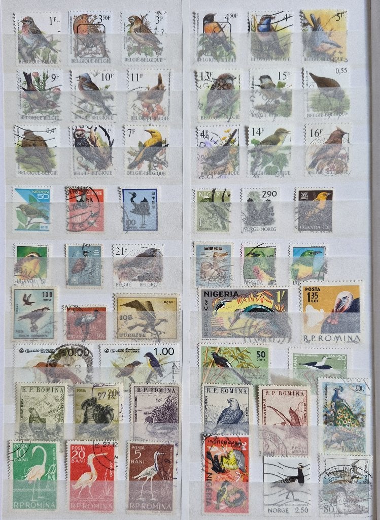 POSTZEGELS VOGELS WERELD GESTEMPELD, Verzenden, Gestempeld, Dier of Natuur