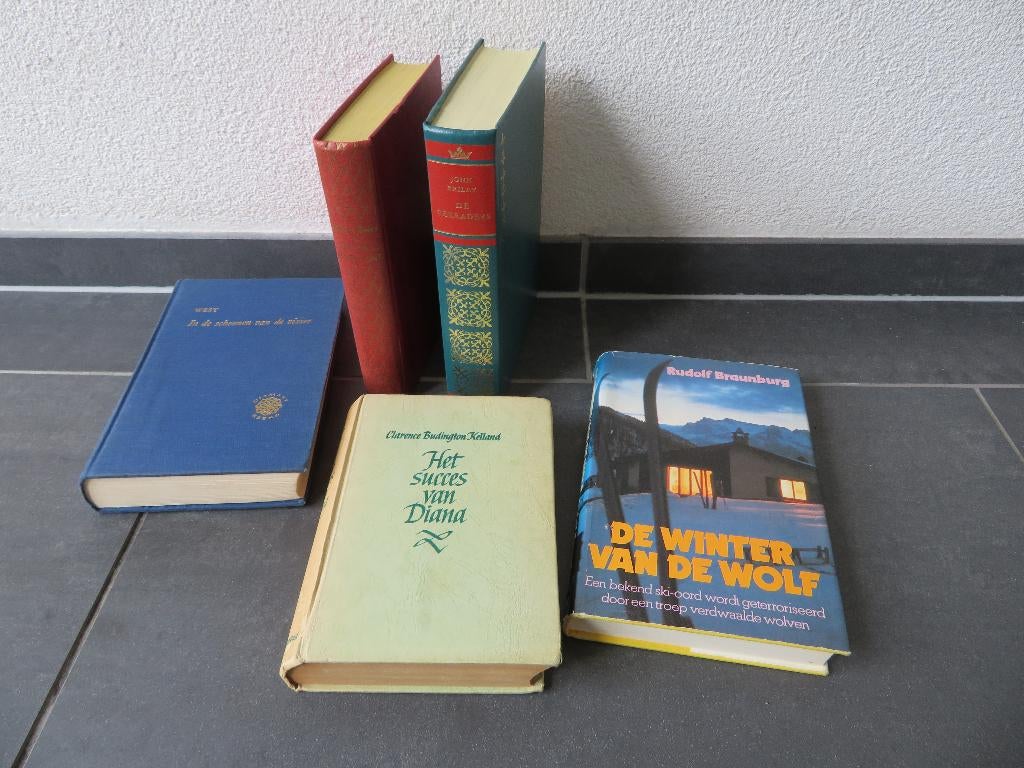 Oude leesboeken, Ophalen of Verzenden, Gelezen