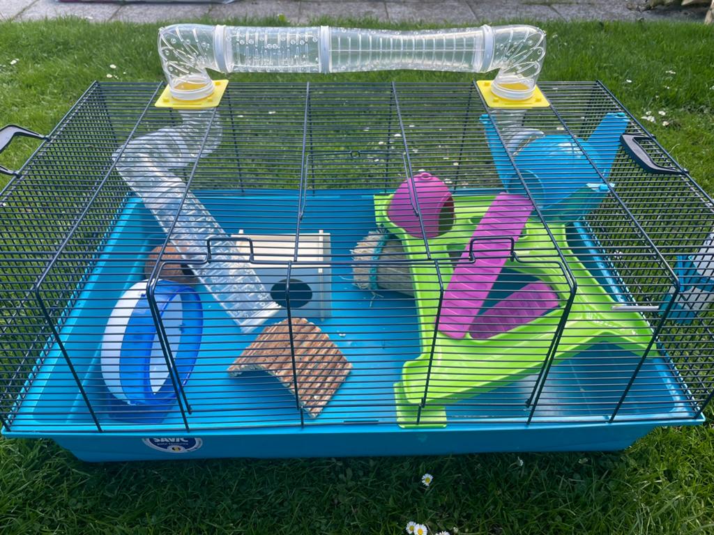 Hamsterkooi, Ophalen, Kooi, 60 tot 90 cm, Minder dan 75 cm