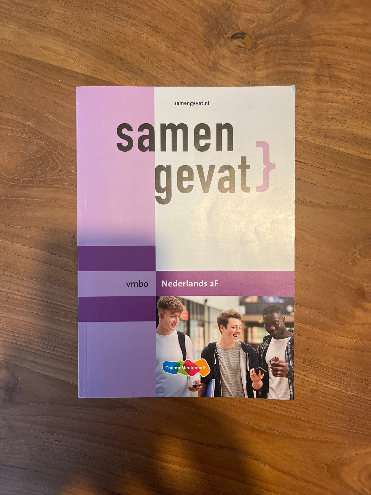 Samengevat vmbo Nederlands 2F - ThiemeMeulenhoff, Boeken, Schoolboeken, Ophalen of Verzenden, Zo goed als nieuw, VMBO, Nederlands