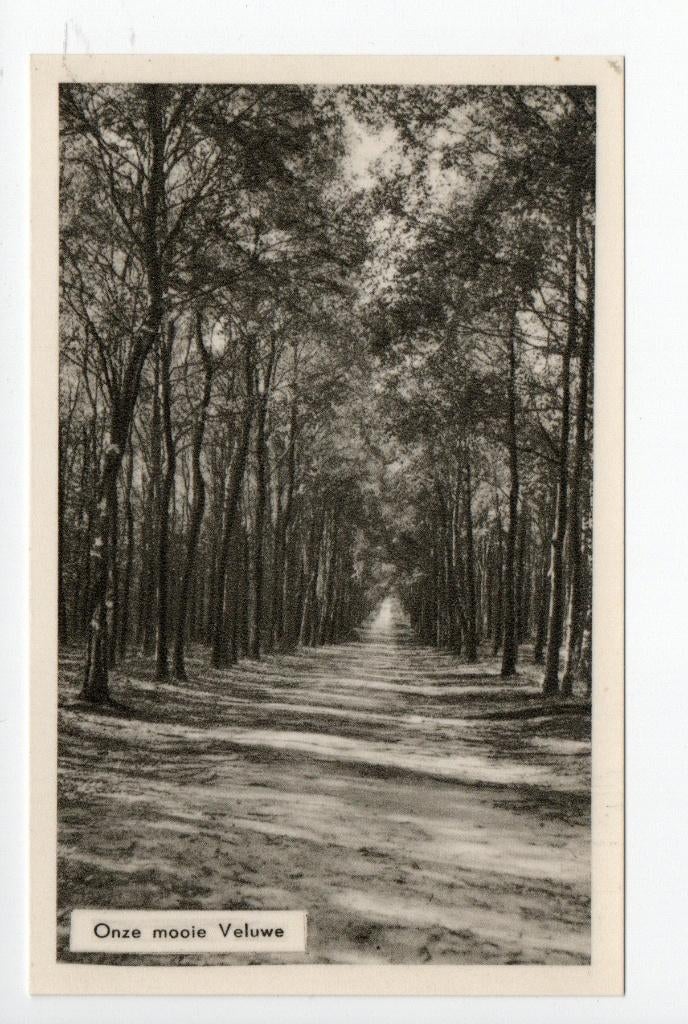 Onze mooie Veluwe.  **, Verzenden, 1940 tot 1960, Ongelopen, Gelderland