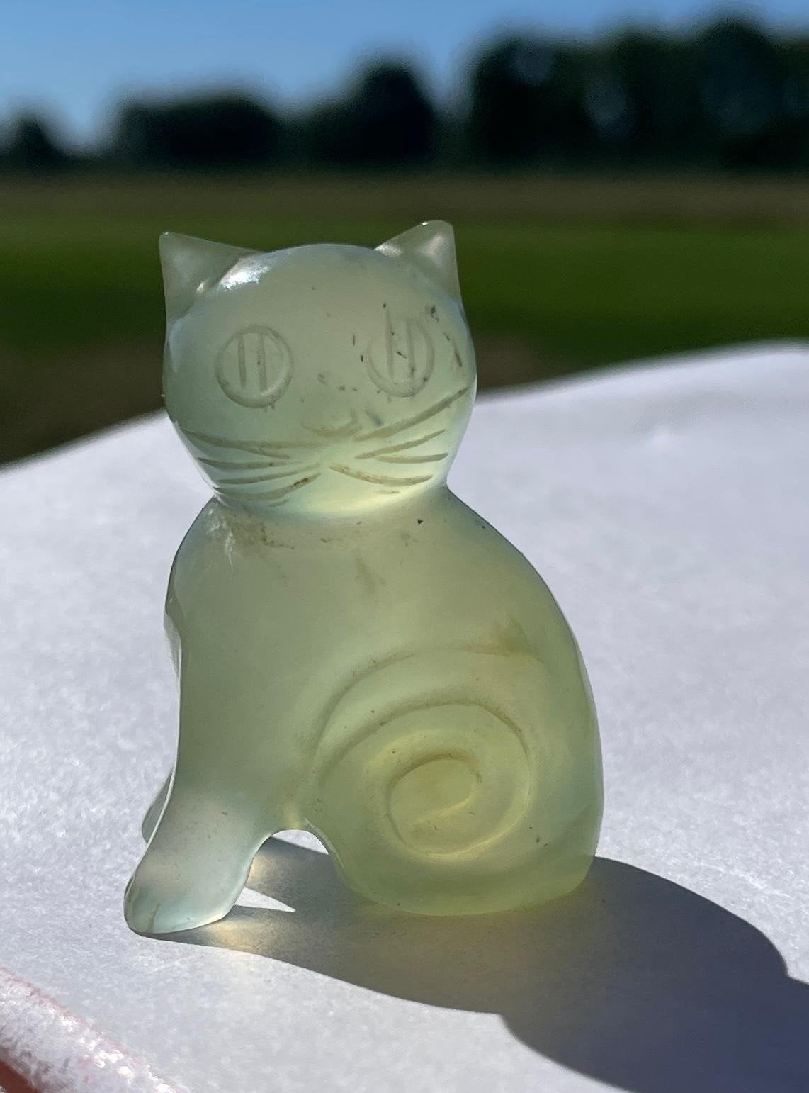 Jade? Poesje, Ophalen of Verzenden