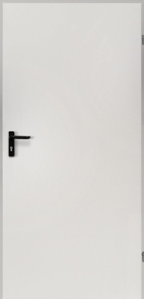 Deur staal volledig paneel b89,5 x h201 cm, Niet ingevuld, 80 tot 100 cm, Niet ingevuld, Nieuw