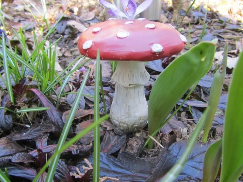 PADDENSTOELTJES OP STEKERTJE - ROOD MET WITTE STIPPEN, Tuin en Terras, Ophalen of Verzenden, Nieuw