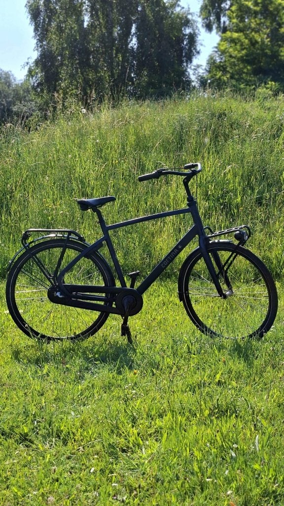 Cortina Common Fiets, Terugtraprem, Gebruikt, Versnellingen, 57 tot 61 cm