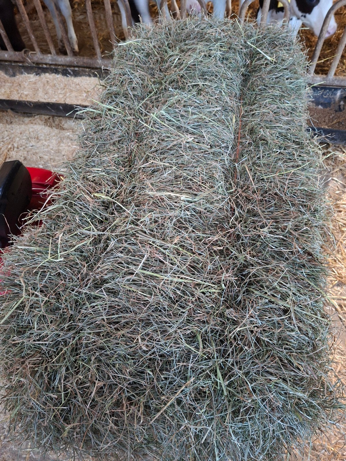 Vers hooi - Kleine balen, Dieren en Toebehoren, Dierenvoeding, Ophalen, Vee
