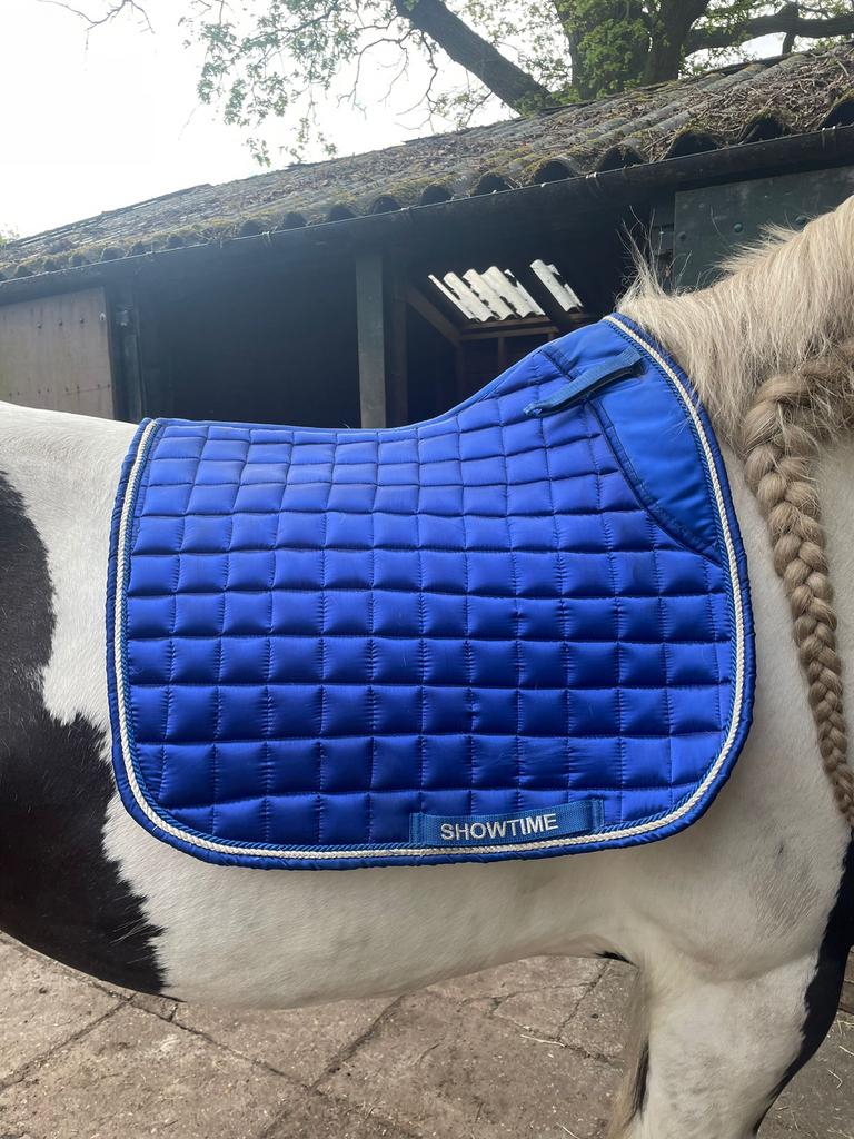 Blauw dekje van showtime maat full, Dieren en Toebehoren, Ophalen of Verzenden, Zo goed als nieuw
