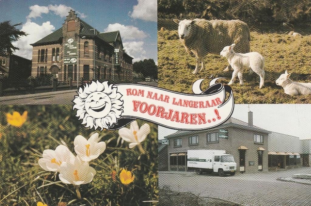 LANGERAAR Meubelzaak P. Den Haan Reclamekaart, Verzenden, 1960 tot 1980, Ongelopen, Zuid-Holland