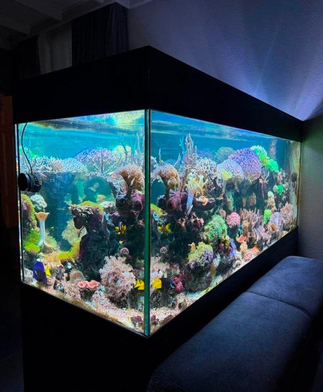 Doorkijk aquarium inclusief techniek, Ophalen, Leeg aquarium