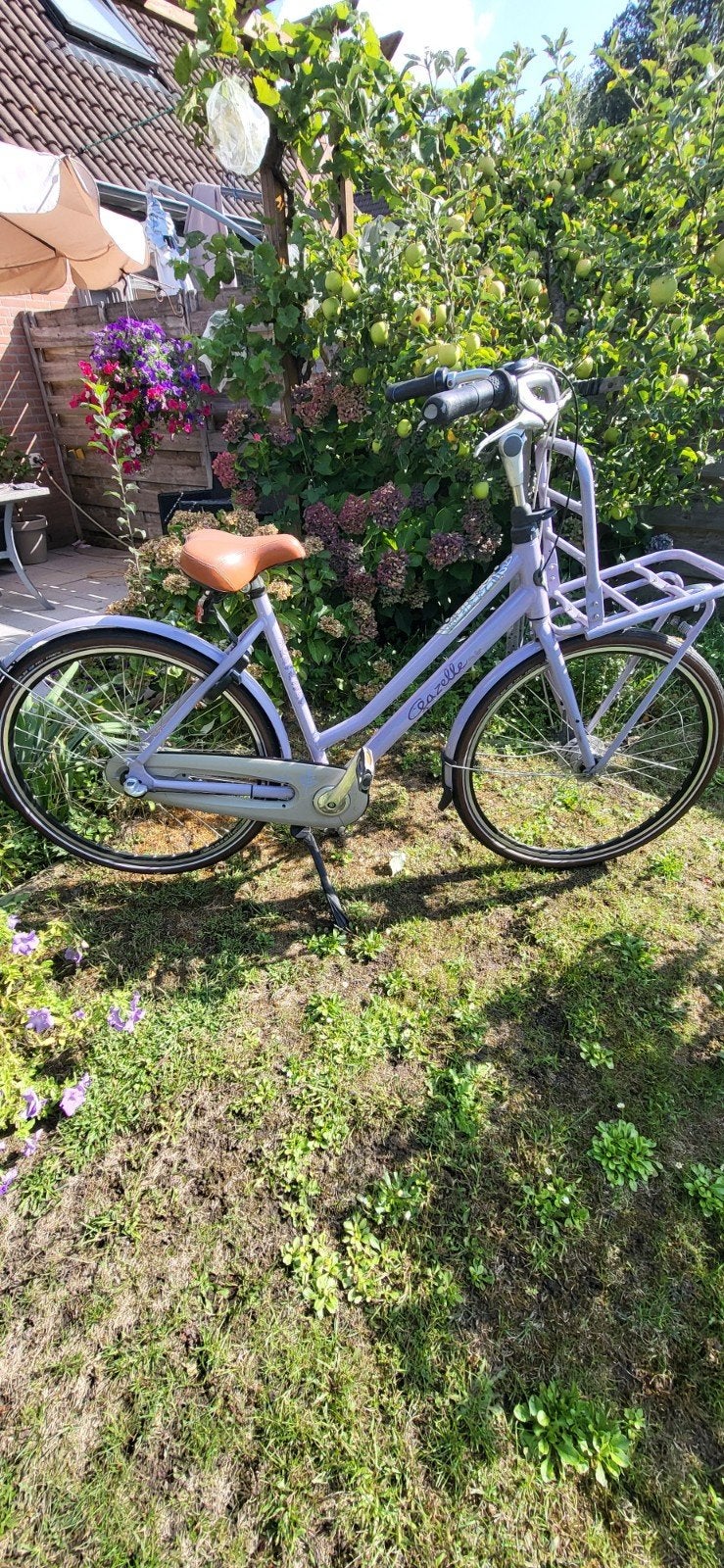 Gazelle miss grase, Fietsen en Brommers, Fietsen | Dames | Damesfietsen, 53 tot 56 cm, Ophalen, Gazelle, Versnellingen