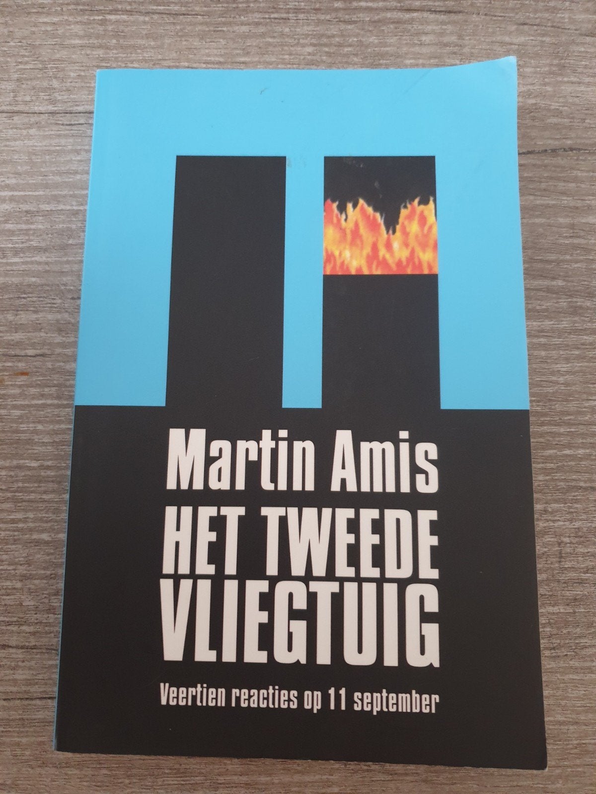 Martin Amis - Het Tweede Vliegtuig (14 reacties op 11 sept), Ophalen of Verzenden, Gelezen, Martin Amis
