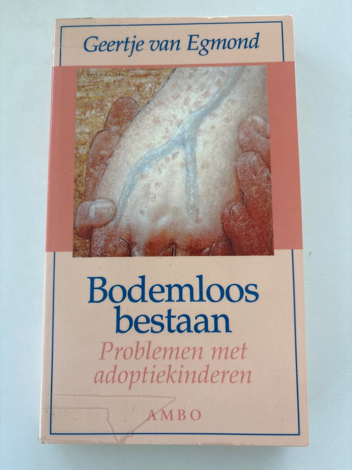 Bodemloos Bestaan: Problemen met adoptiekinderen - Geertje v, Ophalen of Verzenden, Gelezen, Opvoeding tot 6 jaar