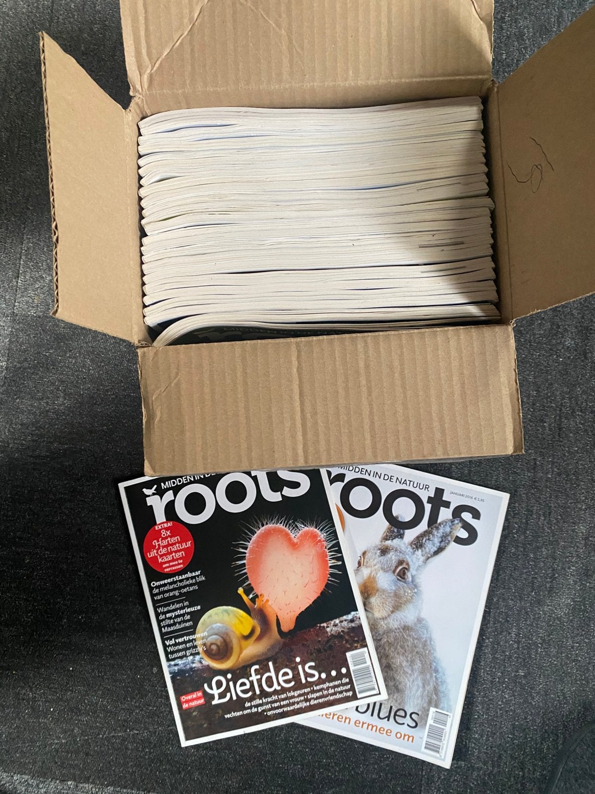 Roots Tijdschriften Collectie 2014-2016. 24x), Boeken, Ophalen of Verzenden, Gelezen, Wetenschap en Natuur