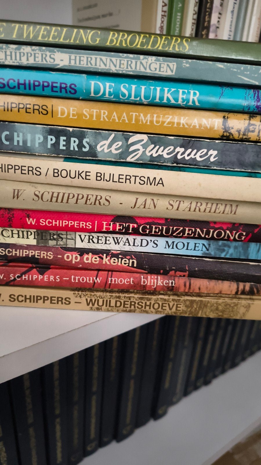 Boeken van W Schippers, Boeken, Ophalen of Verzenden, Gelezen, W Schippers, Christendom | Protestants