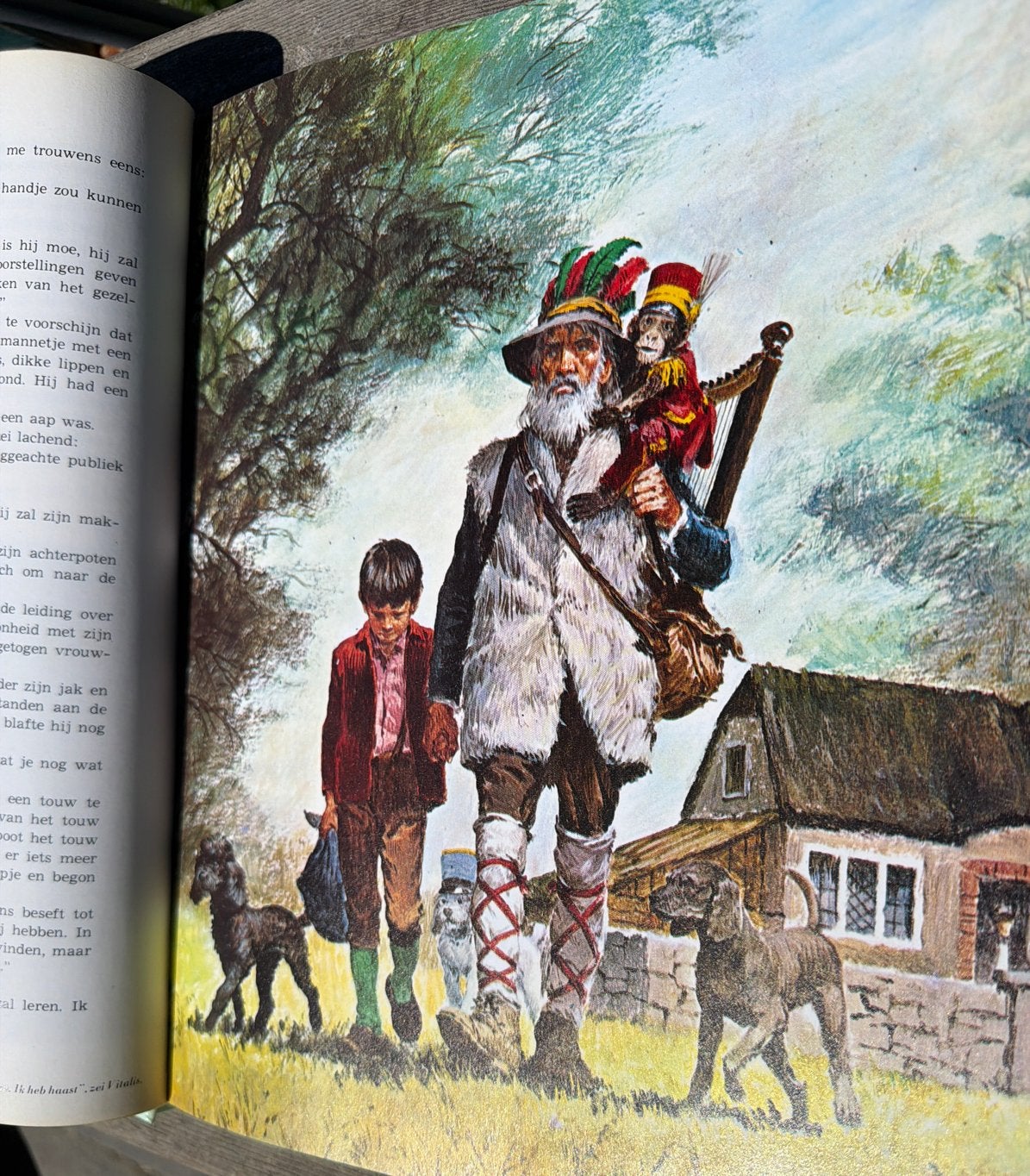 Wereldberoemde Jeugdboeken: Alleen op de Wereld & De Negerhu, Ophalen, Gelezen, Fictie