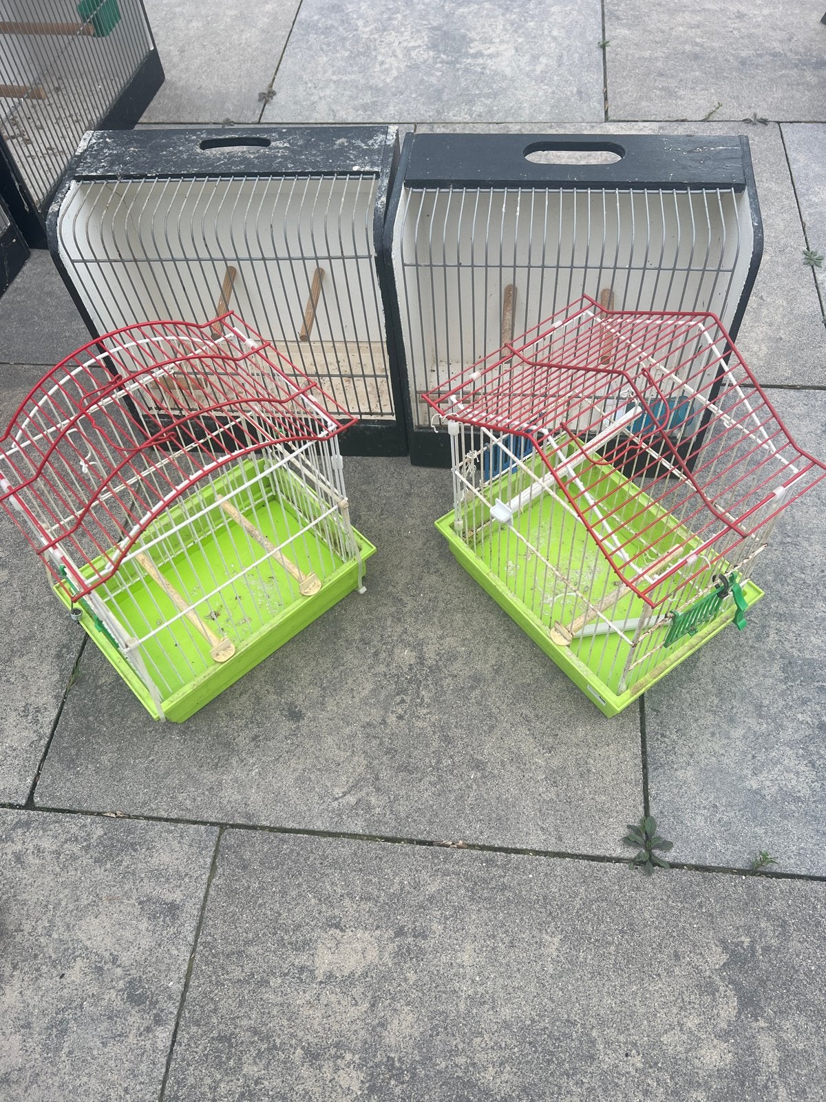 Div kooitjes, Dieren en Toebehoren, Ophalen of Verzenden