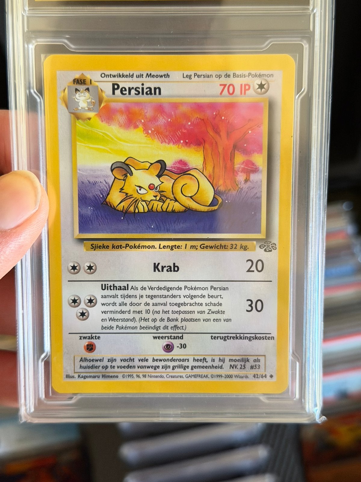 Pokémon Persian Jungle 42 Dutch nederlands GEM MINT 10 Grade, Hobby en Vrije tijd, Verzamelkaartspellen | Pokémon, Ophalen of Verzenden